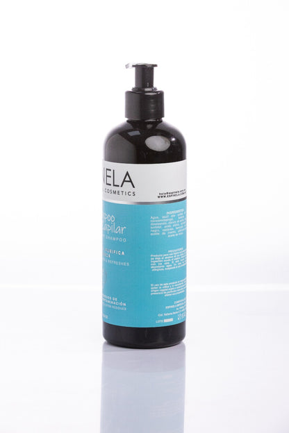 Shampoo Detox Capilar